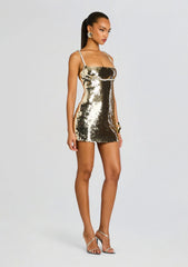 Aderyn Sequin Dress