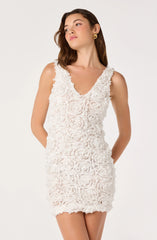 Magali 3D Floral Applique Mini Dress